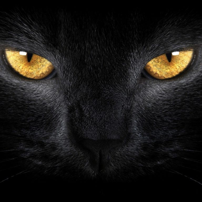 top-10-al-celor-mai-ciudate-superstitii.jpg