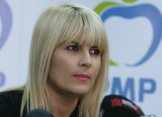 Cum vede ELENA UDREA situatia din PNL