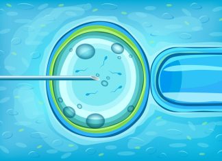Metode de fertilizare in vitro. Recomandari si avantaje pentru fiecare
