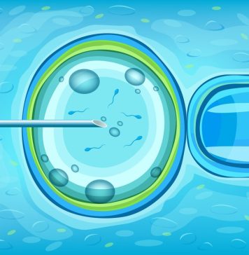 Metode de fertilizare in vitro. Recomandari si avantaje pentru fiecare