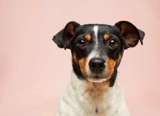 149 Citate Amuzante Care iti vor schimba viata