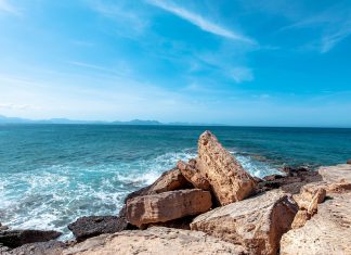 224 Citate Frumoase – Citate Celebre