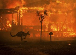 Destinatii afectate de incendii in Australia – Calatori pe drum