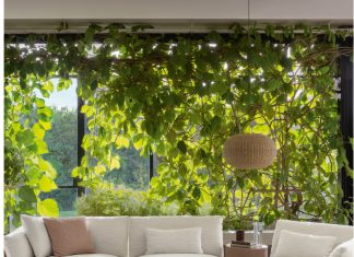 Inspiratie pentru living: Cum sa alegi canapeaua perfecta?