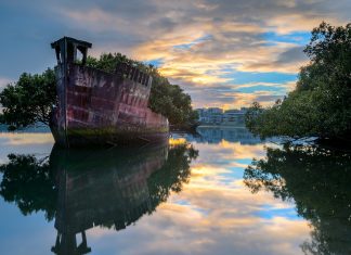 8 locuri abandonate unde natura a revenit la viata