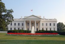 Fapte interesante despre Casa Alba pe care sa le cunosti