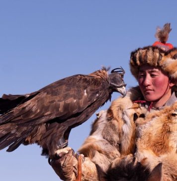 8 fapte salbatice si intinse despre Mongolia